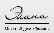 Элина — логотип
