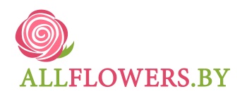 Allflowers.by - Доставка цветов в Минске — логотип