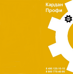 Кардан Профи — логотип
