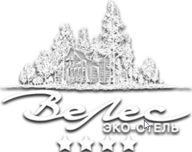 ВеЛес — логотип