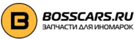 Босскарc — логотип