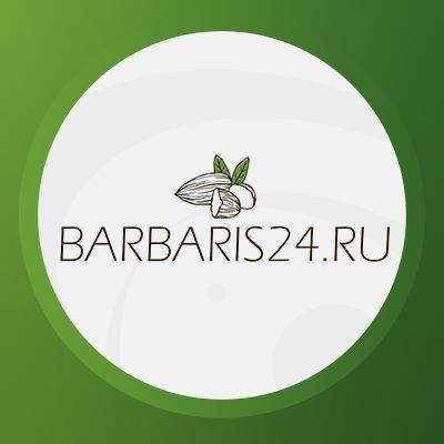 Интернет-магазин «Barbaris24.ru» — логотип