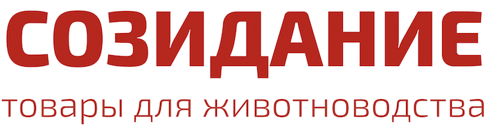 ТД «Созидание» — логотип