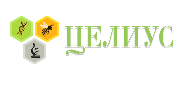 Учебно-оздоровительный центр "Целиус" — логотип