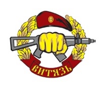 ООО ЧОО "Витязь.РФ" — логотип