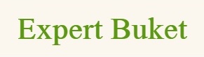 ExpertBuket — логотип
