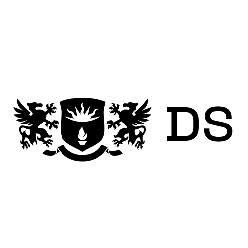 Финансово-консалтинговая компания DS Consulting — логотип