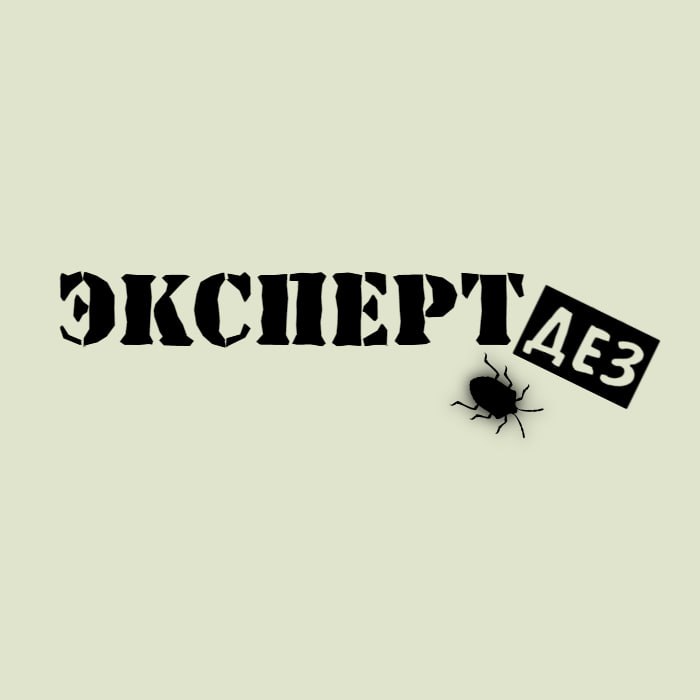 ЭКСПЕРТДЕЗ — логотип