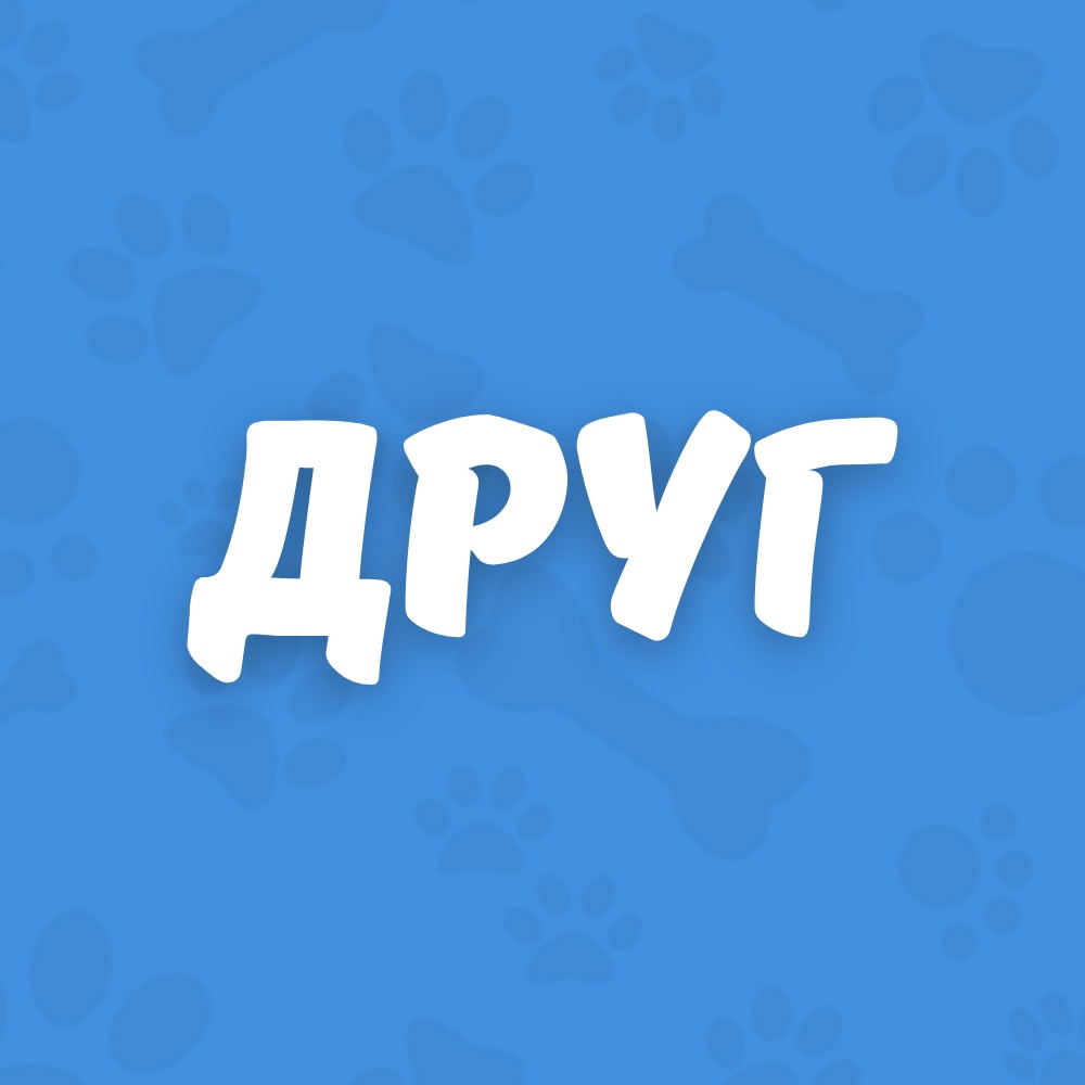 Ветеринарная клиника "Друг" Новосибирск — логотип