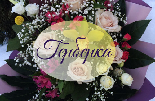 Герберка. Сеть салонов цветов и букетов в Брянске. — логотип