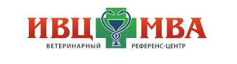 ИВЦ МВА ВОСТОК — логотип