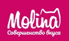 MOLINA — логотип