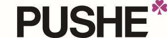 ООО "Мебельная фабрика PUSHE" — логотип