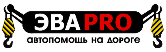 ЭВАPRO — логотип