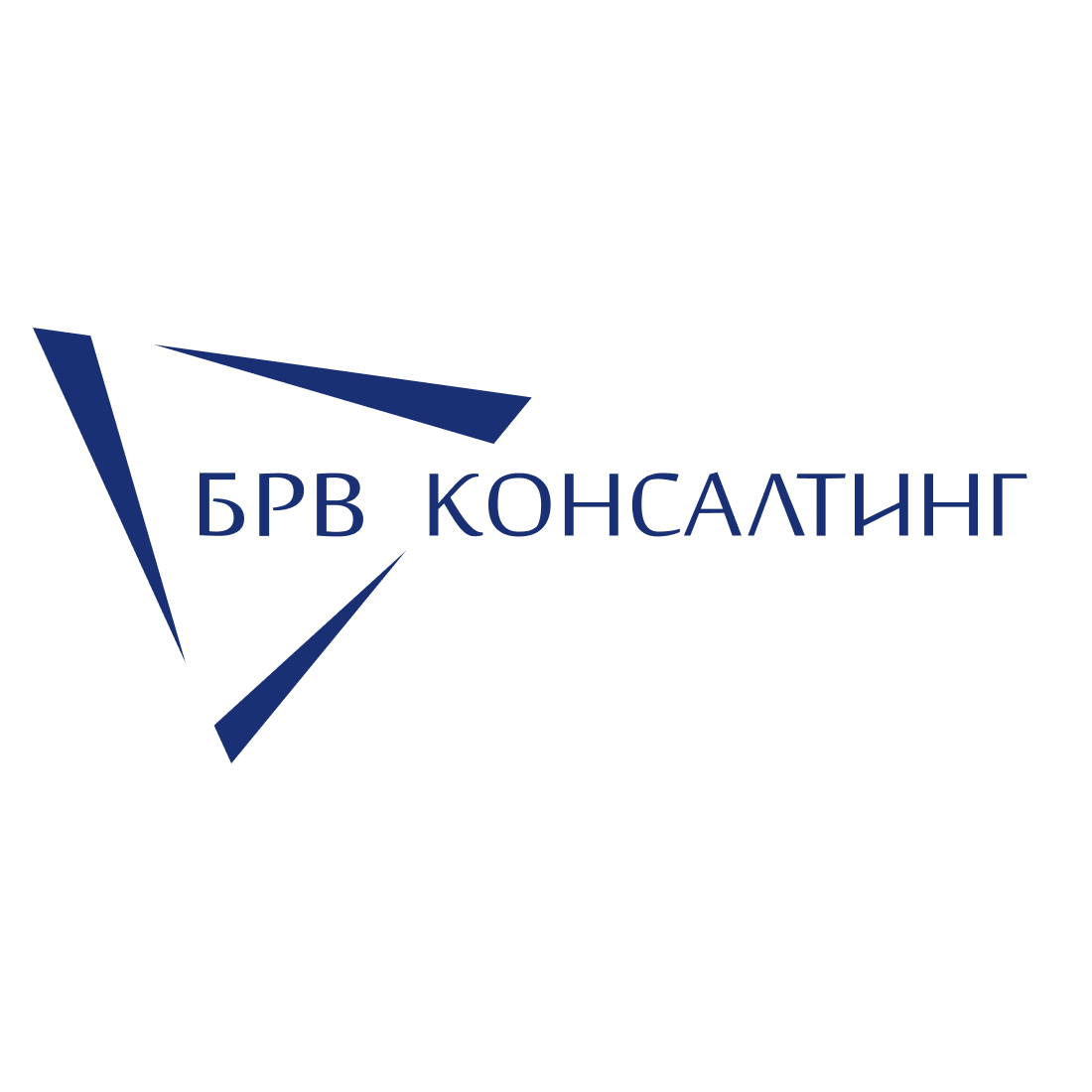 ООО "БРВ КОНСАЛТИНГ” — логотип