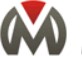 ООО "Международный центр стандартов" — логотип
