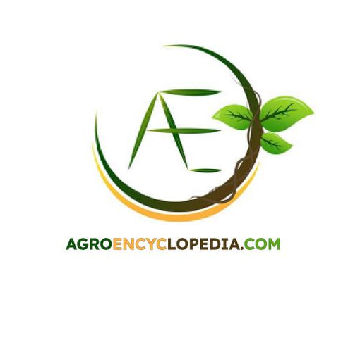 Agroencyclopedia — логотип