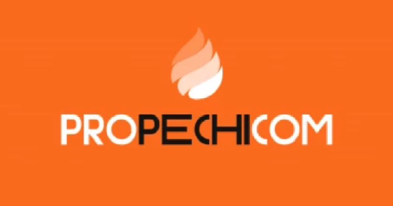ProPechi.com — логотип