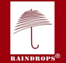 RAINDROPS — логотип
