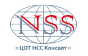 ООО "НСС Консалт" — логотип