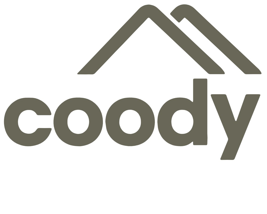 Coody.ru — логотип