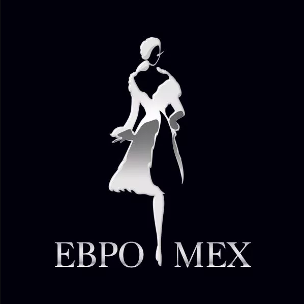 Евромех — логотип