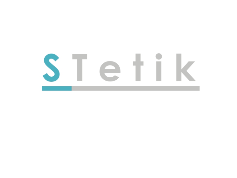 Stetik — логотип
