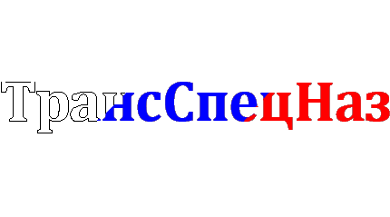 Группа компаний ТрансСпецНаз — логотип