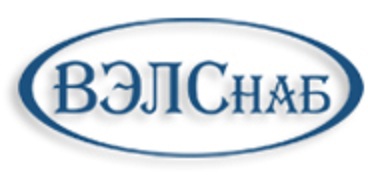 ВЭЛСнаб — логотип